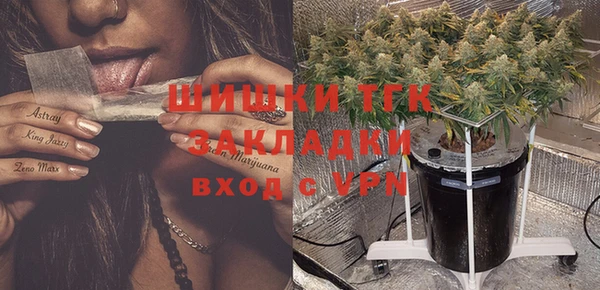 трава Арсеньев