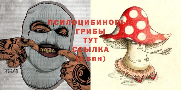 трава Арсеньев