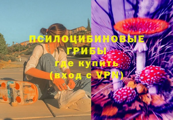 трава Арсеньев