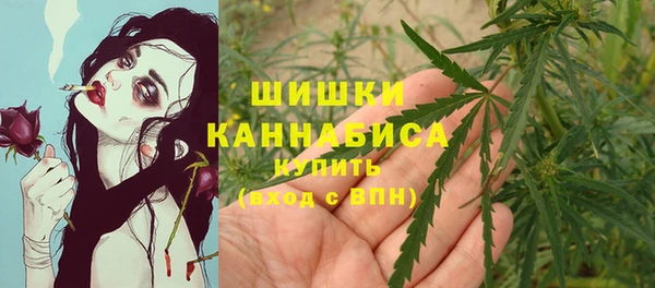 трава Арсеньев
