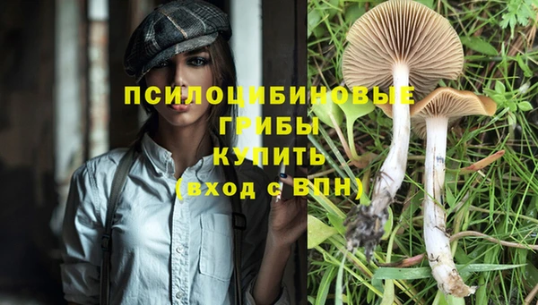 трава Арсеньев