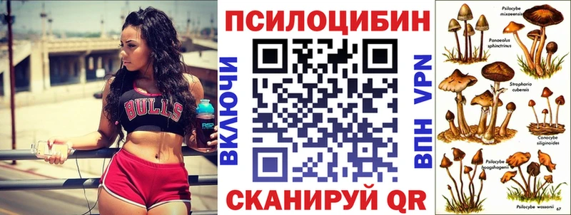 Галлюциногенные грибы GOLDEN TEACHER  darknet Telegram  Исилькуль  hydra ссылка 