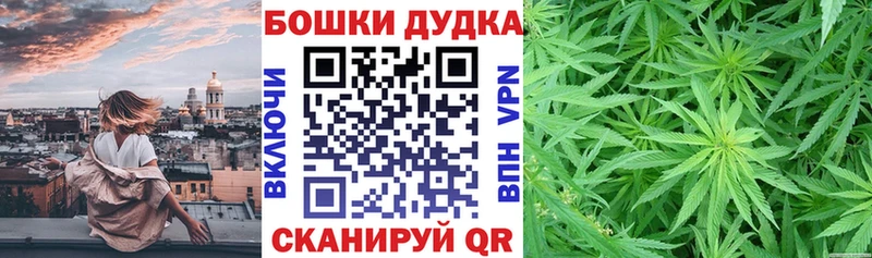 Канабис план  Исилькуль 